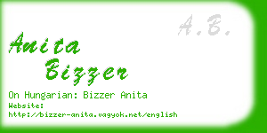 anita bizzer business card